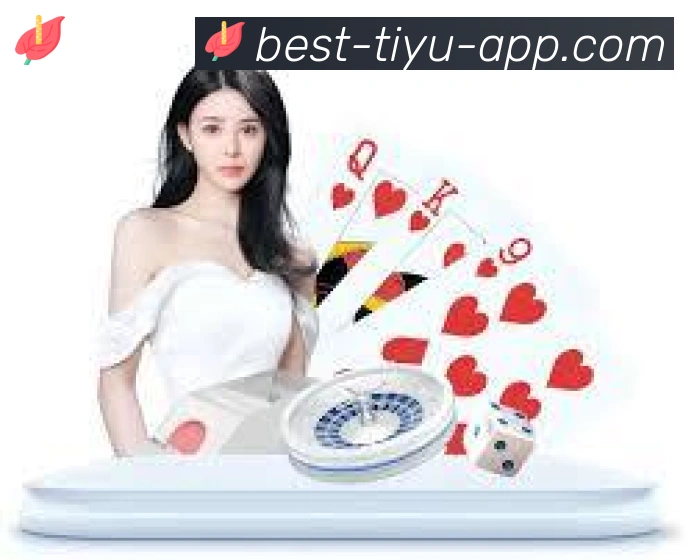 体育直播全站App